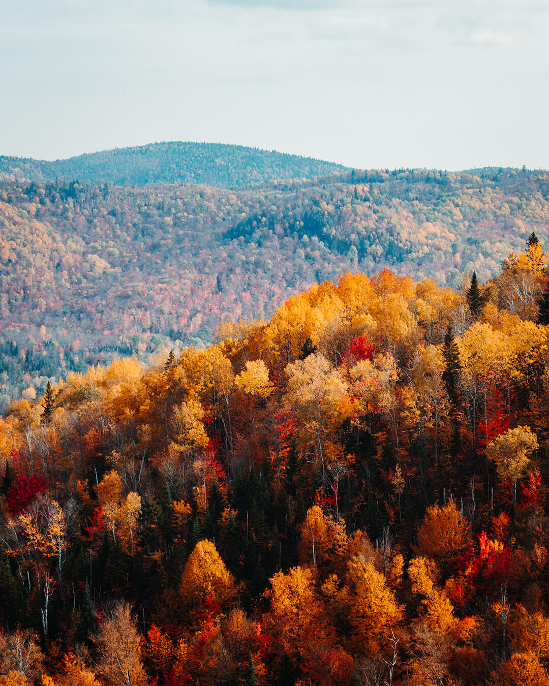 Autumn Landscape
